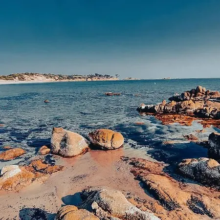 Avec Terrasse Oletta (Corsica)